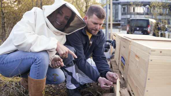 ANTENNE BAYERN setzt sich für nachhaltigen Schutz von Bienen in Bayern ein