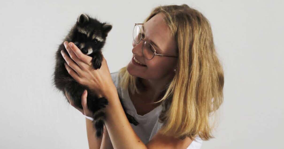 ABY_AZR_Waschbären_Simone Tierhilfe-Verein