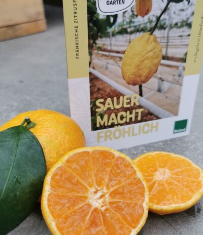 Florentinas Garten_Wirtschaftswunder