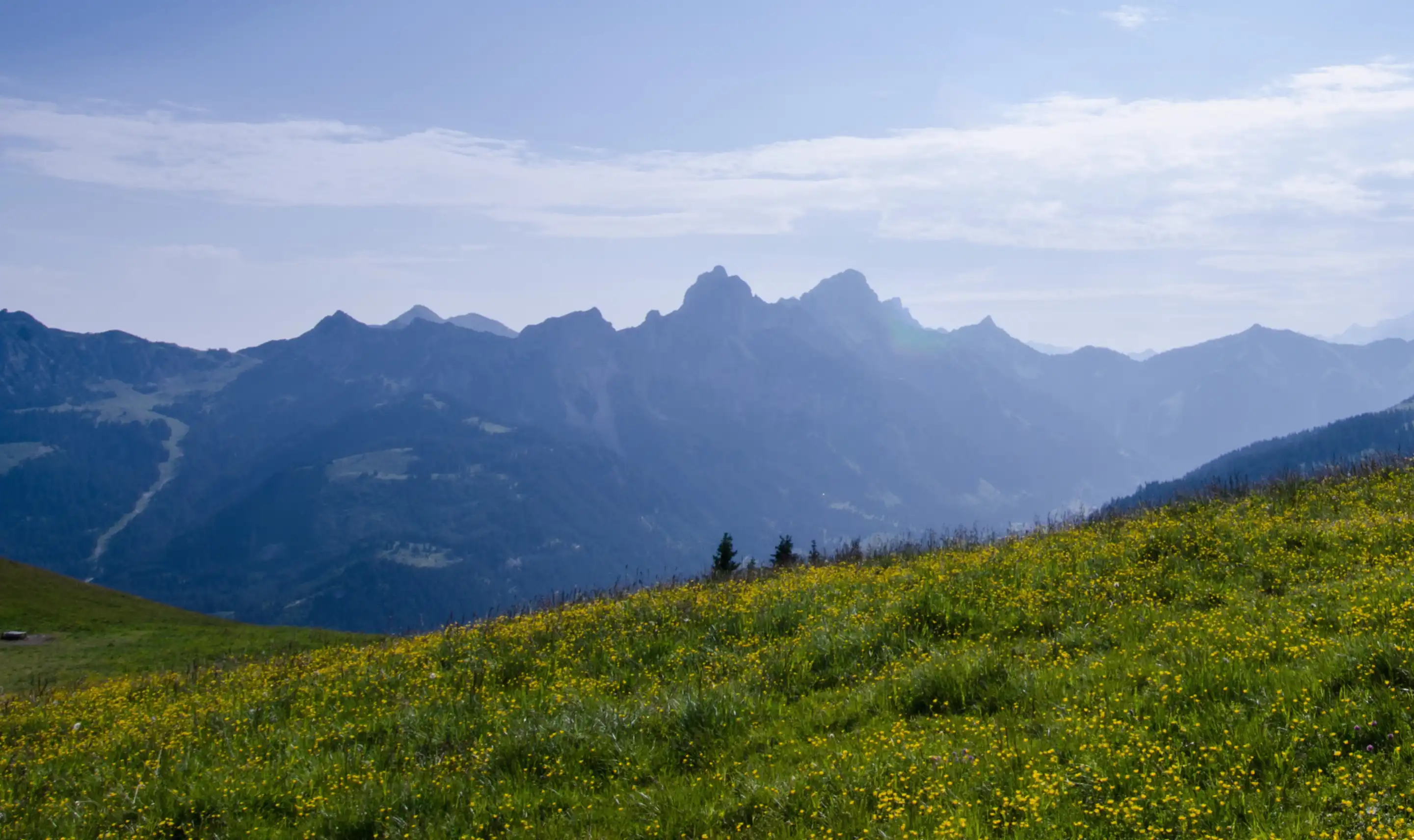 ANTENNE BAYERN