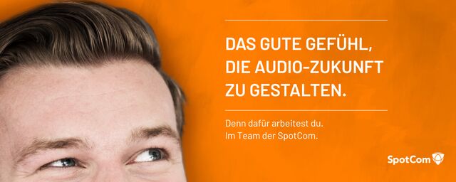 Salesmanager:in/ Mediaberater:in (m/w/d)
